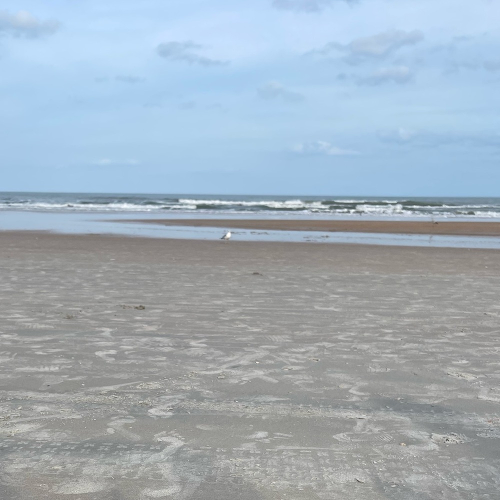 Meet your Posher, Liz